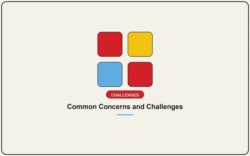 Common Concerns and Challenges